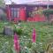 Casa Minha Backpackers Hostel