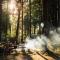 Forest Camping Mozirje - 莫济列