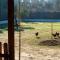 Casa de Campo Los Manueles Ideal Perros Pet Friendly