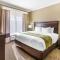 Comfort Suites Texas Ave