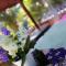 Twocans Homestay KohMak - SHA