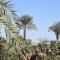 Nubian Queen Guest House