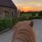 B&B Martinushoeve