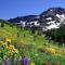Solar nest with fireplace and panoramic view 700m from skilift and centrum - Bansko
