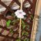Casa Mirelia - Holiday home for two with garden and whirlpool