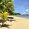 Pattis Paradise