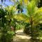 Pattis Paradise