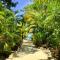Pattis Paradise