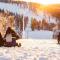 Holiday in Lapland - Levisalmi B - Levi
