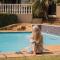 All Seasons Boutique Hotel - Sustainable Electricity and Water