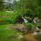 Forest falls Garden Maerim Chiangmai ตาดปลาแคมป์ออร์แกนิคฟาร์มสเตย์เชียงใหม่