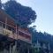 Luxury Treehouse with Jacuzzi in Jibhi - Jibhi