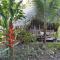 Hospedaje SELVA DE AVES
