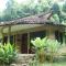 Forest falls Garden Maerim Chiangmai ตาดปลาแคมป์ออร์แกนิคฟาร์มสเตย์เชียงใหม่