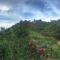 Modern cabin nestled in mountain nature. Paradise! - Orosí