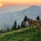 Urlaub mit Hund im Salzburger Land - Wegscheid