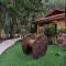 Hotel Ritmo Tropical - Pool and Breakfast