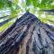 Great Ocean Road Wellness and Nature Stay