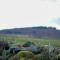 Kelbergerly Hills