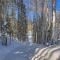 389 Beaver Circle