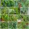ReRooted Permaculture Farmstay