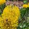 ReRooted Permaculture Farmstay