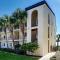 Palms C8
