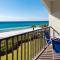 Palms C11