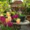 B&B Monumentaal Logeren