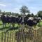 Statige boerderijwoning met vrij uitzicht en tuin - Hoogzand