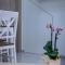 Renovated 2BD house close to Pireus port - 比雷埃夫斯