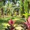 Khao Sok Palm Garden Resort - Khao Sok