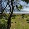 Cabaña en playa San Ignacio - Valdivia