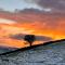 Sycamore Cottage At Naze Farm - Chinley