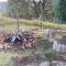 Black Wattle Cabin Turon Escape Capertee