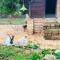 KASIH SAYANG Farmstay山下人家