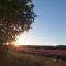 Appartement Roussillon