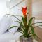 Ascos Coral Beach Hotel