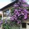 Apartments Ana