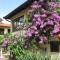 Apartments Ana