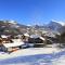 Le Grand Neige - 36 - Appart Montagne 6 pers