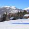 Grand Morillon-309 Appart vue pistes- 5 pers - Morillon