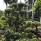 Pratum Resort