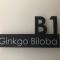 Captain YOO - Ginkgo Biloba - Cocon moderne sur le port - Fécamp