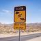 Float Pool, Hot Tub, Sauna, Views, Telescope-Skywatchers Haven - Joshua Tree