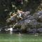 Off the Beaten Track B&B - Canvastown