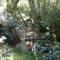 Rothesay - Knysna