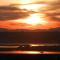 Rothesay - Knysna