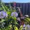 The Cabana - a romantic seaside getaway and garden - Ryde