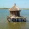 Villa avec piscine entre plage et Siné Saloum